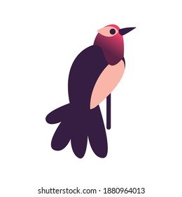 bird abstract style icon isolated design, Animal feather predator wildlife fight beak natural and latin america theme Vector illustration