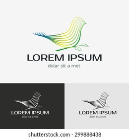 Bird abstract vector logo design template. Creative emblem for your design.