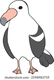 The bird albatross in the sea.