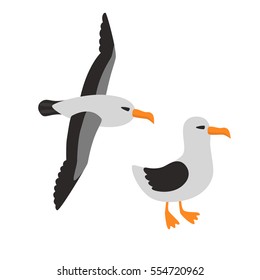 Bird Albatross Set Cartoon Vector Illustration