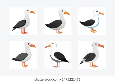 A bird Albatross vector art in illustration