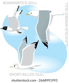 Bird American Gull Flying Set Cartoon Vector