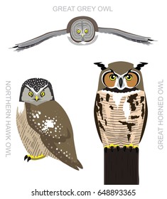 Bird American Owl Set Cartoon Vector Illustration