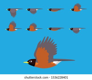 Bird American Robin Flying Cartoon Vector Animation Frame