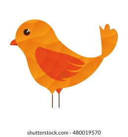 bird animal cartoon