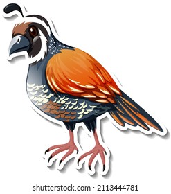 Bird animal cartoon sticker illustration