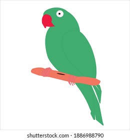 bird- animal- design- bird art- green bird- illustration- vector bird