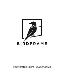 Bird Animal logo design vector