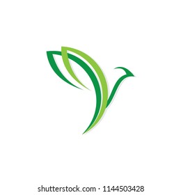 bird animal for logo software