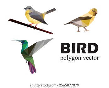 Bird animal Low Poly Vector Set. Polygonal Illustration of humming bird, canary and Easter Yellow Robin Bird. Bird Vector Abstract for kids animal book