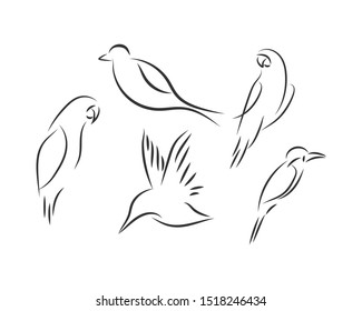 Bird animal mono line art template vector