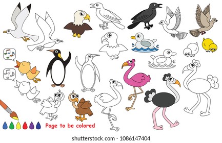 Bird Animal set to be colored, the coloring book for preschool kids with easy educational gaming level.