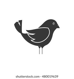 bird animal silhouette