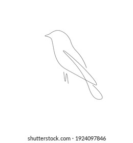 Bird Animal Silhouette Line Drawing Vector Stock Vector (Royalty Free ...