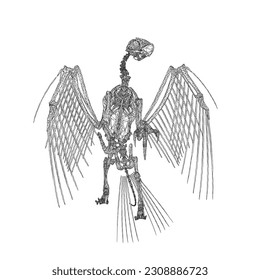 Bird animal skeleton vector illustration isolated on white background, Hand draw skeleton raven. Digital doodle Animal skull bones, skeleton vector silhouette illustration isolated on white background