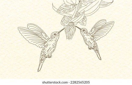 Bird animal vector beautiful flying hummingbird parrot illustration drawing sketch art design element for banner poster social media post leaflet and brochure