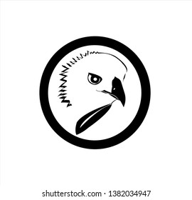 bird animal vector of eagle logo and falcon head with hawk design of creative mascot
