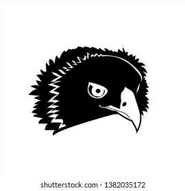 bird animal vector of eagle logo and falcon head with hawk design of creative mascot