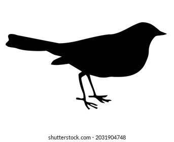 Bird, animal, wildlife, vector, illustration, in black and white color, isolated on white background