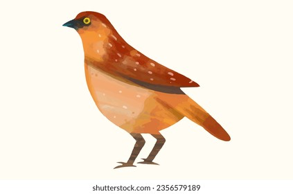 Bird, Animal wildlife watercolor vector illustration.