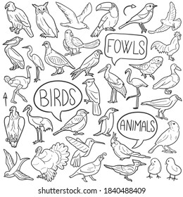 Bird Animals doodle icon set. Fly Vector illustration collection. Banner Hand drawn Line art style.