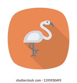 bird  Animals Wildlife