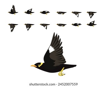 Bird Animation Hill Myna Gracula Flying Cute Cartoon Vector Illustration