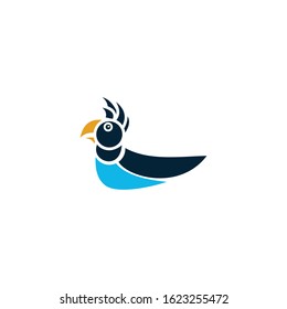 bird animation for logos or cartoon characters