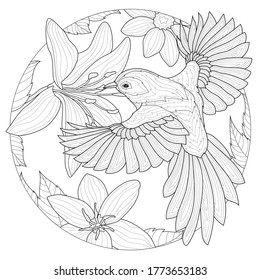 
Pájaro alrededor de las flores. Antítesis del libro de colores para niños y adultos. Estilo zen-enmarañado.Dibujo en blanco y negro