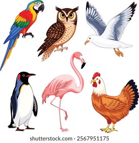 bird art design transparent background for book print photos