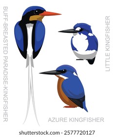 Bird Azure Kingfisher Paradise Australia Set Cute Cartoon Vector