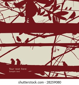 bird background