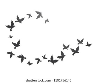 Bird background Template vector illustration