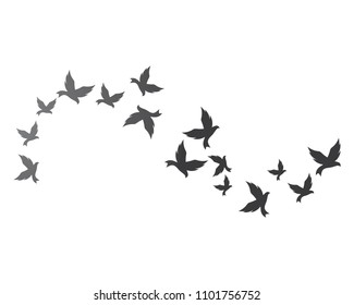 Bird background Template vector illustration