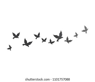 Bird background Template vector illustration