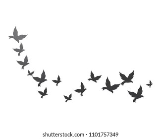 Bird background Template vector illustration