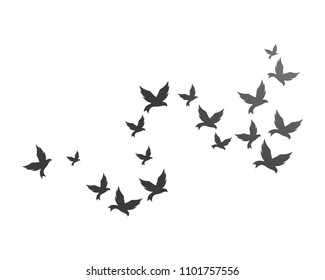 Bird background Template vector illustration