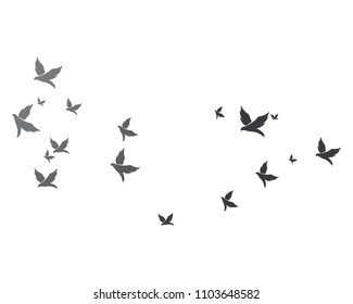 Bird background Template vector illustration