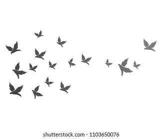 Bird background Template vector illustration