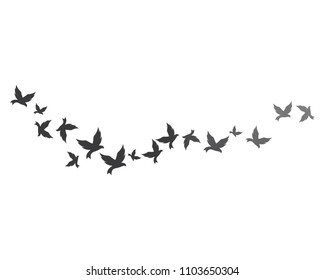 Bird background Template vector illustration