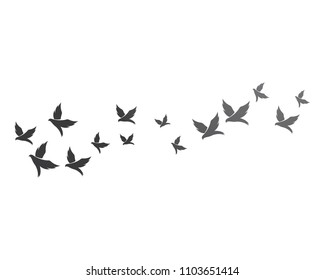 Bird background Template vector illustration