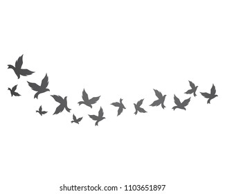 Bird background Template vector illustration