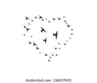 Bird background Template vector illustration - Vector