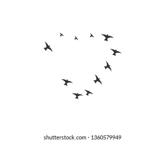 Bird background Template vector illustration - Vector