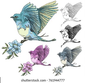 bird, background, vector.