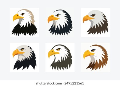 A bird Bald Eagle vector art in illustration