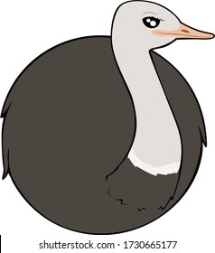 Bird Ball: Common Ostrich, Struthio camelus.  A round cartoon ostrich with a long white neck drawn from the front view. 