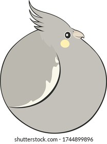 Bird Ball: Dominant Yellowcheek Cockatiel.  It's an exotic pet bird breed with gray feathers and a bright yellow spot on its cheeks.  This one's head feathers are in the excited position.