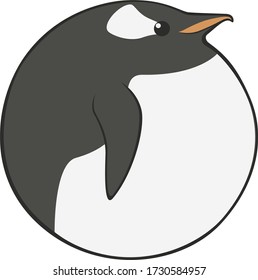 Bird Ball: Gentoo Penguin.  Scientific name: Pygoscelis papua.  A round penguin with an orange beak and a white spot behind one eye. 