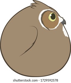 Bird Ball: Great Horned Owl.  Side view cartoon drawing of an isolated hoot owl in a rounded shape on a transparent background. 